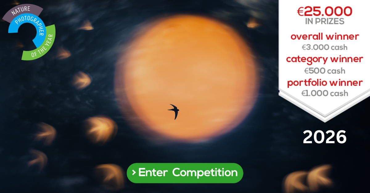 enter contest 2026 npoty banner Åsmund Keilen Sundance 1200x628 Fotowedstrijd Nature Talks Natuurfotografie