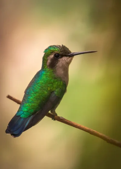 Fotoreis Curaçao: natuurfotografie op een veelzijdig tropisch eiland