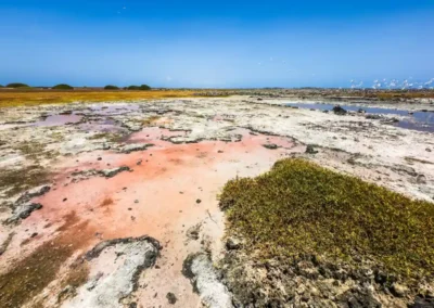 Roze zoutmeer op Klein Curaçao met overvliegende vogels onder een blauwe lucht