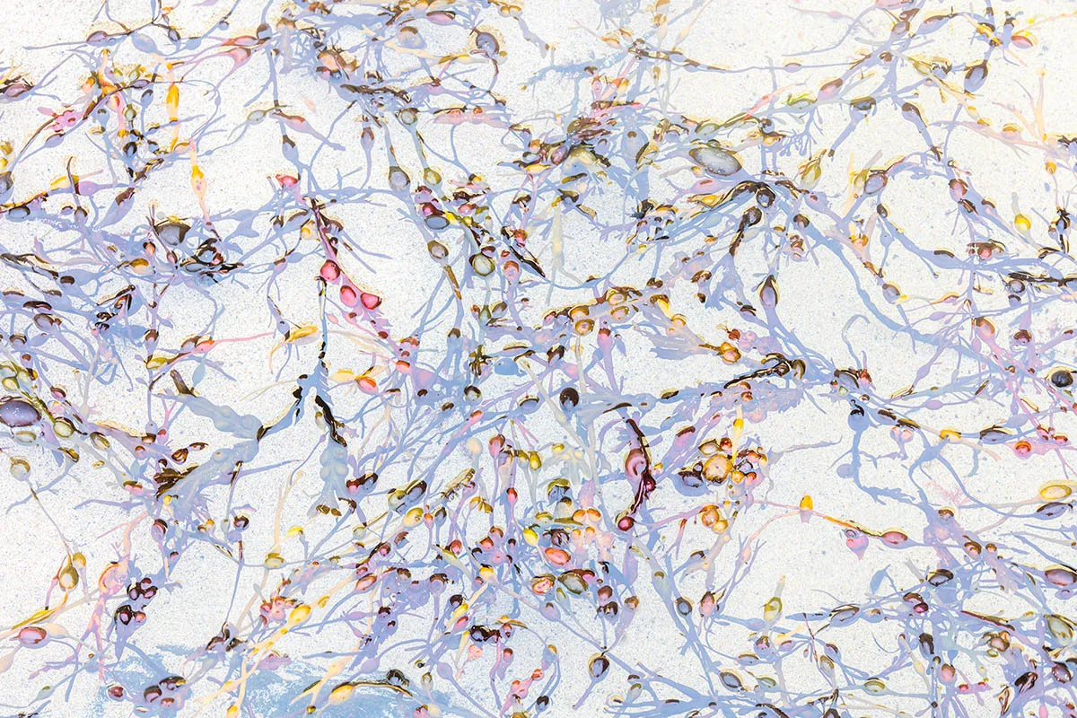 Theo Bosboom 005 - Zee-Wier-Strand-Abstract