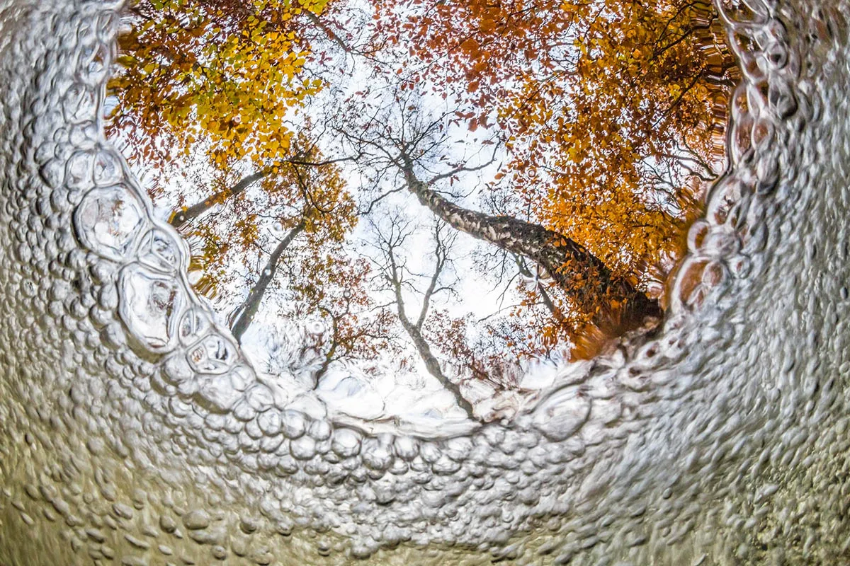 Theo Bosboom 009 - Herfst-Bladeren-perspectief